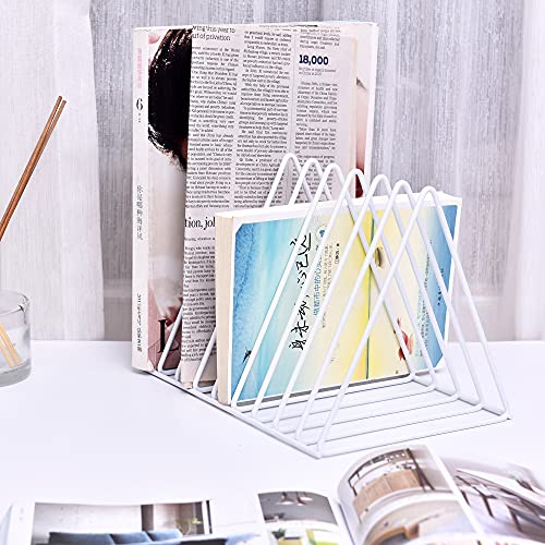 Moxita Triangle File Folder Racks and Magazine Holder, 9 Slot Metal