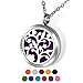 HOUSWEETY Aromatherapy Essential Oil Diffuser Necklace-Stainless Steel Locket Pendant,11 Refill Pads(Non-engraving)