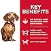Hill's Science Diet Perfect Weight, Adult 1-6, Small & Mini Breeds Weight Management Support, Dry Dog Food, Chicken Recipe, 4 lb Bag