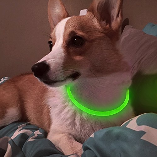 BSEEN LED Dog Collar Cuttable Water Resistant Glowing Dog Collar