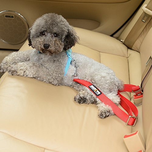 Hapito Pet Cat Dog Seat Belt, Adjustable (22 to 37 Inch) Genuine Nylon Safety Belt, Car Vehicle Seatbelt Harness Leash for Dogs Cats (Red) - Thumbnail 7