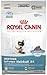 Royal Canin Feline Health Nutrition Indoor Intense Hairball 34 Dry Cat Food, 15-Pound