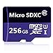 256GB Micro SD SDXC Class 10 Memory Card 256g with Adapter(SD18HL-256-C6)