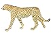 Safari Ltd. Cheetah Toy Figurine - Detailed 8
