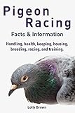 Pigeon Racing: Handling, health, keeping, housing, breeding, racing, and training. Facts & Information