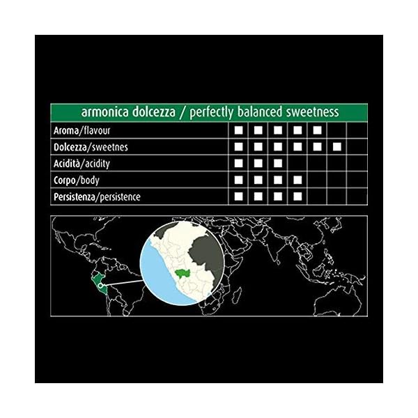 Ese Kaffeepads Alto Palomar Fair Trade und Bio 100% Arabica aus Peru | 50 x 44 mm – Bild 5