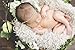 Custom Photo Props, Faux Fur Newborn Photography Basket Stuffer Prop, 20 Inches by 32 Inches, Lamb Lullaby Soft Cream