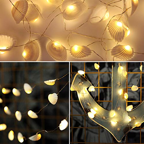 WSgift Natural Beach Seashell String Lights 13.85 Ft 40 Warm White LED