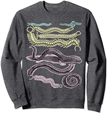 Unisex EncycloArt, Centipede Insects Entomology, Kids T-Shirt Medium Dark Heather