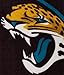 Officially Licensed NFL Grand Stand Plush Raschel Throw Blanket, 50