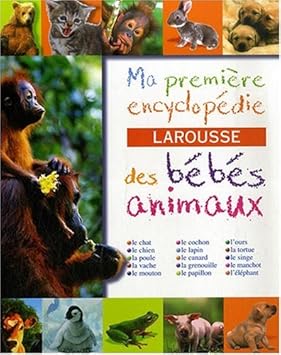 Jeux De Societe Chien