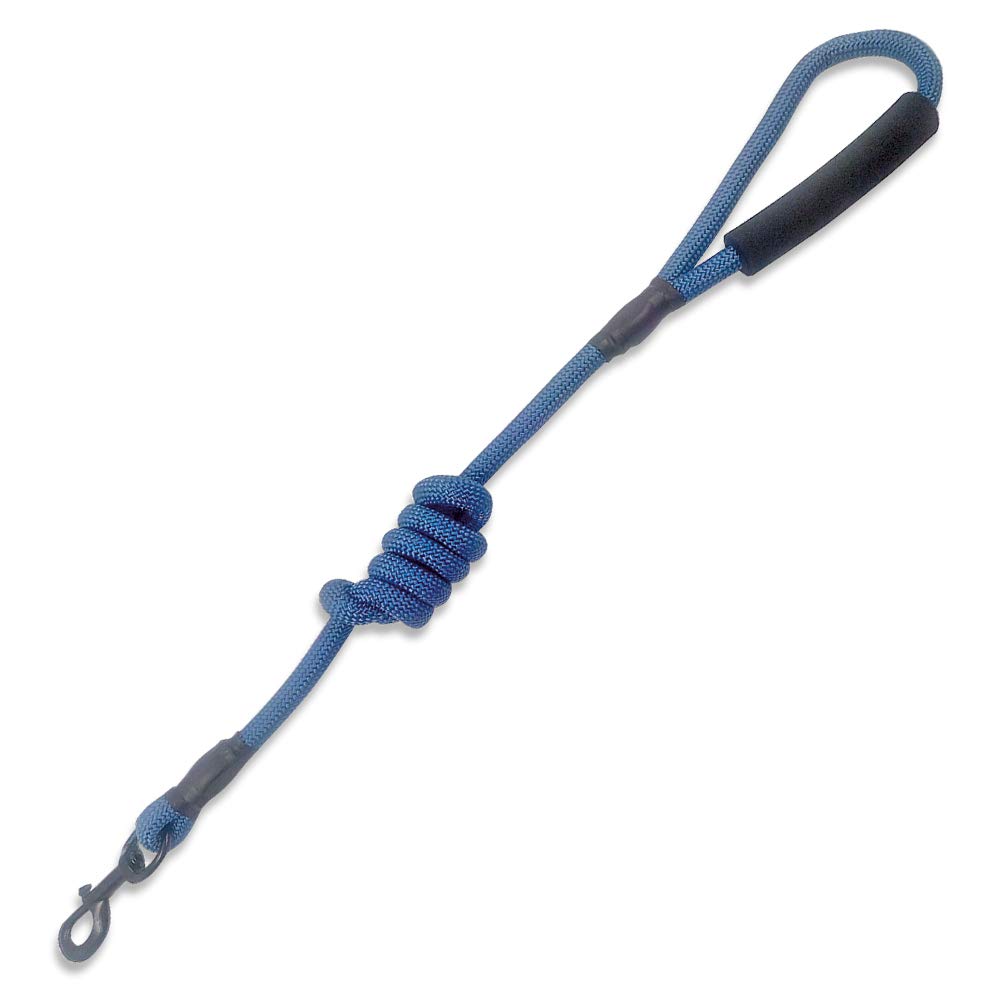 Arquivet 17661 Strap, Blue, 8 mm x 120 cm