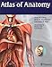 Atlas of Anatomy (Thieme Anatomy)