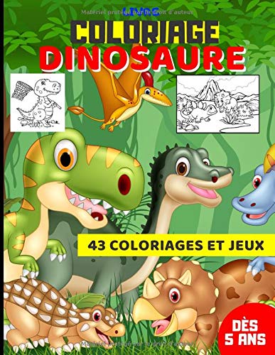 Livre Coloriage Dinosaure 43 Coloriages Et Jeux En Noir Blanc Enfant Des 5 Ans French Edition Ludi Co Collections Amazon Com Books
