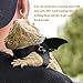 Lizard Dragon Wings Harness Bearded Dragons Leash 3 Pack Reptile Harness Gecko Adjustable Leather Leopard Gecko Leash Small Medium Large