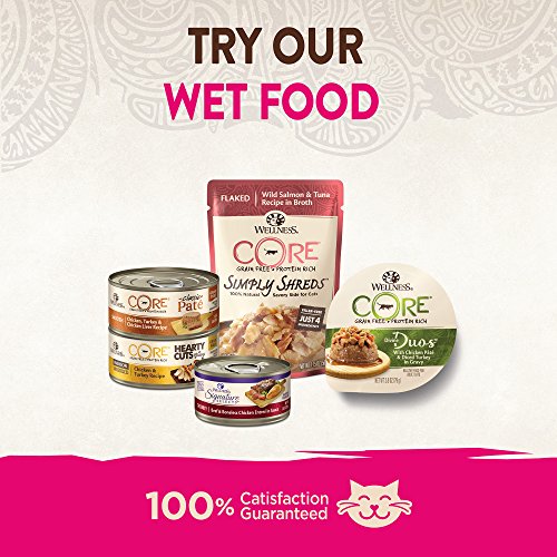 Wellness CORE GrainFree Turkey, Turkey Meal & Duck Formula Dry Cat