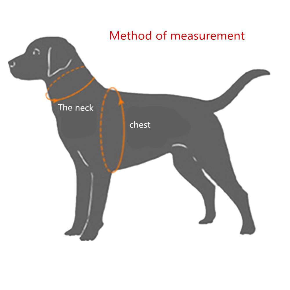 Runfish colorful pet harness dog traction with rope chain tether strap (S(neck circumference ：7.8-13.3 in))