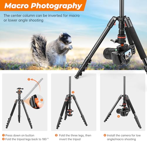 Victiv 200 cm Camera Tripod, Portable Stable Travel Tripod, 2-in-1 Tripod Monopod with 360° Panoramic Ball Head for DSLR Canon Nikon Sony, Aluminium Camera Tripod, Tripods for Smartphone