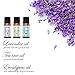 Essential Oils, Mooka Top 12 100% Pure Therapeutic Grade Aromatherapy Essential Oil Set Starter Kit for Diffusers (Lavender, Tea Tree, Eucalyptus, Lemongrass, Sweet Orange, Peppermint..)