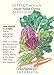 Lettuce Mesclun "Asian Salad Greens" Seeds