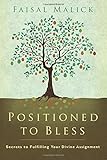 Positioned to  Bless: Secrets to Fulfilling Your Divine Assignment