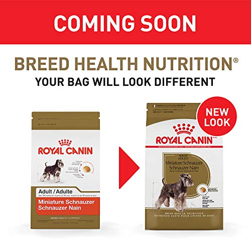 Royal Canin Miniature Schnauzer Adult Breed Specific Dry Dog Food, 10