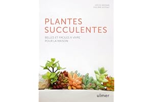 LES PLANTES SUCCULENTES - BELLES ET FACILES A VIVRE POUR LA MAISON
