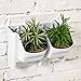 T4U Plastic Self Watering Vertical Living Wall Planter Set White Pack of 2, Stackble Wall Mounted for Indoor Outdoor Herb Vegetable Flower Plant (Renewed)thumb 1