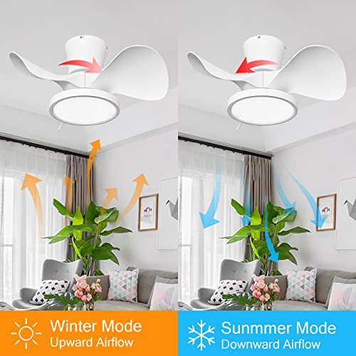 TALOYA 22 inch Ceiling Fan with 3 Color Temperatures Light and Remote