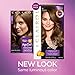Clairol Age Defy Expert Collection 6 Light Brown 1 Kit, 1 Count (Pack of 3) (PACKAGING MAY VARY)