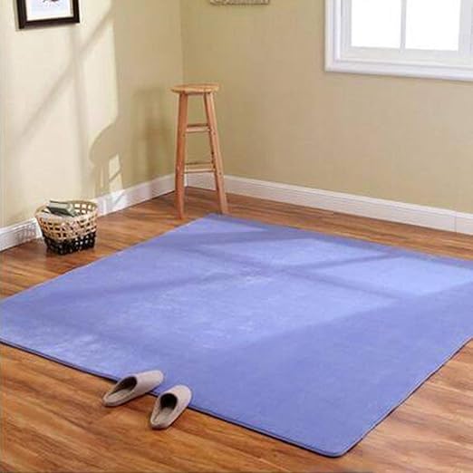 CUICUI Teppich Home Einfache Moderne Wohnzimmer Teppich Dick Korallen Villi Schlafzimmer Boden Matratze Nachtteppich Teppich