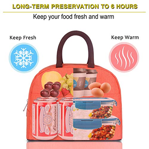 image for BALORAY Lunch Bag Tote Bag Lunch Organizer Lunch Holder Insulated Lunc