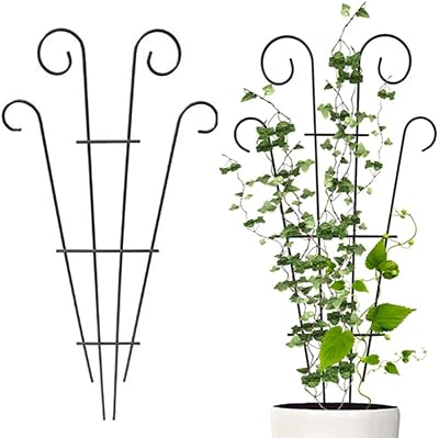 PRTECY Flueyer 2 Pcs Plant Trellis Garden Metal Support Stake 40x20cm