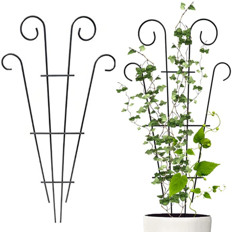 Flueyer 2 Pcs Plant Trellis for Climbing Plants outdoor, Black Coated Fan Pot Trellis Garden Metal Support Stake for Indoor Outdoor Vines Flower Vegetable
