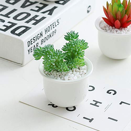 Ferris Wheel Plant Stand with 6 Pots Succulent - White Modern Decorative Ceramic Flower Planter Plant Pot with Drainage - Home Office Desk Garden Mini Cactus Pot Indoor Decoration