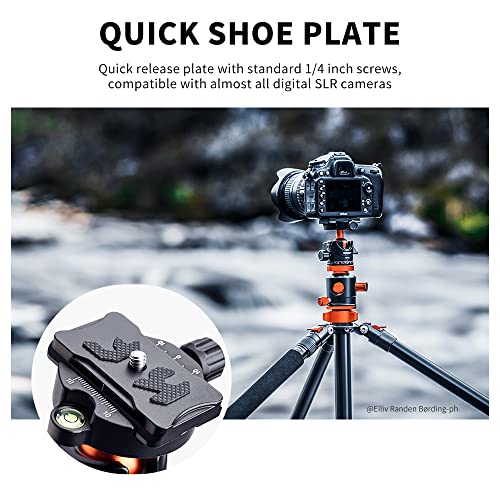 K&F Concept 74 inch Camera Tripod,Professional Center Axis Horizontal