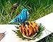 CUTPOPUP BlueBird Pop Up Card, Mothers Day Card, Fathers Day Card Pop Up, Birthday 3D Greeting Card for Grandpa, Dad, Husband, Son
