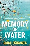 Front cover for the book Memory of Water by Emmi Itäranta