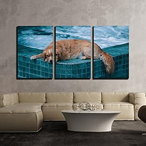 Dog Lying on The Edge of a Bath...