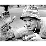 Innerwallz 8x10 Poster Print GLOSSY Caddyshack Bill Murray