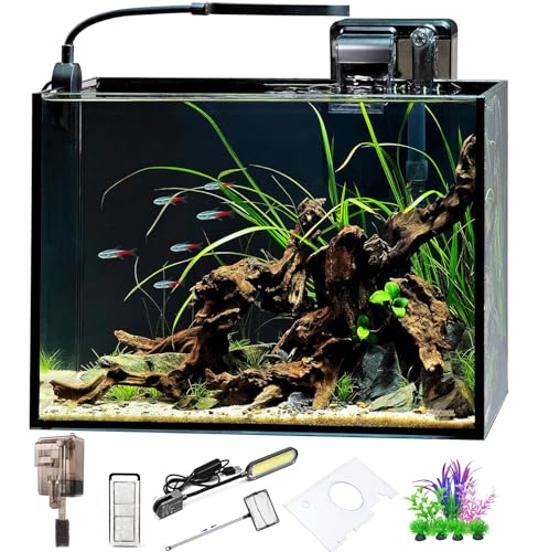 2.5 Gallon Nano Nature Aquarium Kit, Ultra-Clear Rimless Desktop Fish Tank with Light, Filter and Self Cleaning System, Perfect for Small Fish, Shrimp, or Betta (Ultra-Clear Rimless Fish Tank Kit)