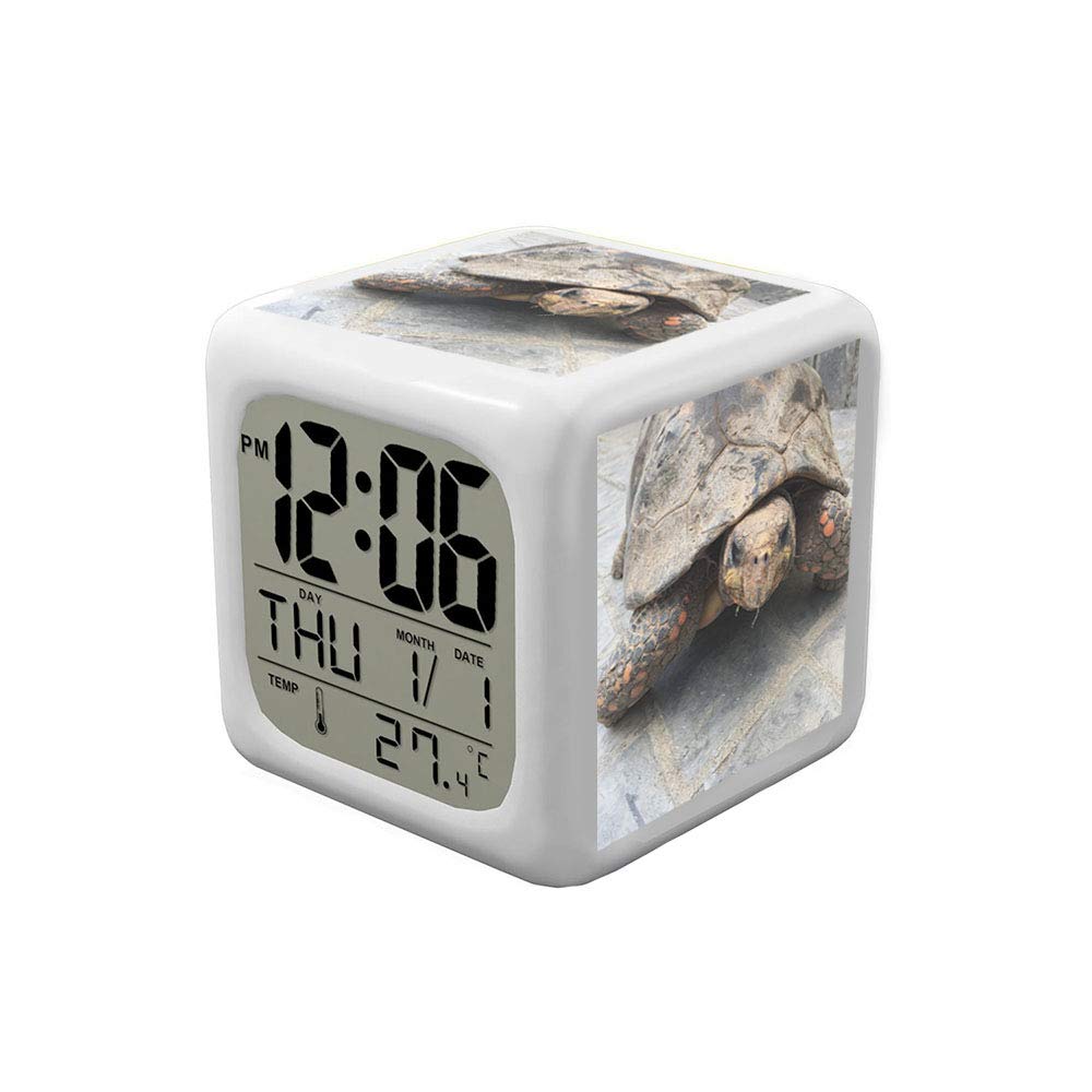 Best Ninja Turtles Clock With Glowing Border