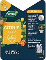 Westland Citrus Feed Concentrate 200ml for Citrus Plants view 3