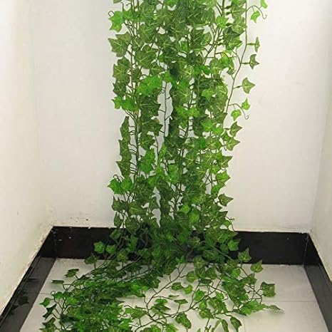 Amazon Com Sunmu Artificial Sweet Potato Leaves Rattan Green Leaves Garland Plant Vine Fake Home Decoration Kitchen Dining Amazon Com Sunmu Artificial Sweet Potato Leaves Rattan Green Leaves Garland Plant Vine Fake Home Decoration Kitchen Dining