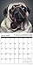 Pug Mugs 2017 Wall Calendar
