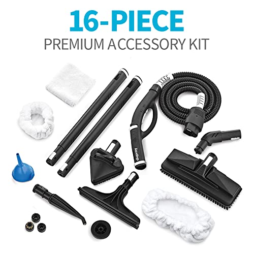 Dupray One Steam Cleaner Portable, AllPurpose, Disinfecting, Chemical