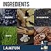 Hair Regrowth Serum, Professional Hair Loss Treatments by LAMFUN, Hair Growth Spray for Men and Women, Enhanced Formula with No Alcohol 3.4FL OZ/100ML- Herbthumb 1