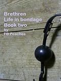 Brethren, life in bondage. Book two. (Brethren life in bondage 2)