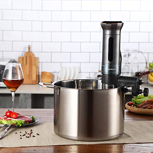 Sansaire Sous Vide Immersion Circulator 1100 Watts at William Arreola blog