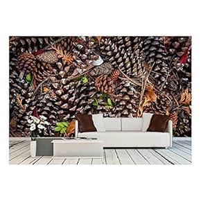 Various Pine Cones on Forest Floor, View from Above - Removable Wall Mural | Self-Adhesive Large Wallpaper - 66x96 inches
